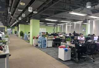 上海养猪大棚搭建